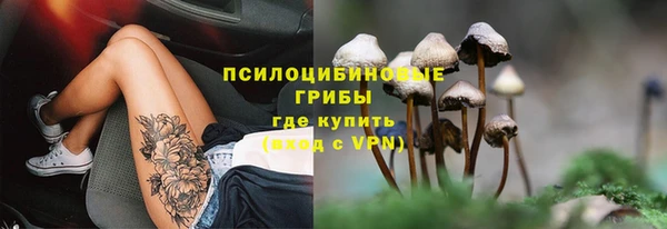 каннабис Белокуриха