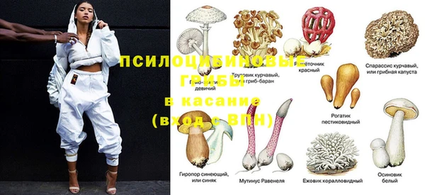 каннабис Белокуриха